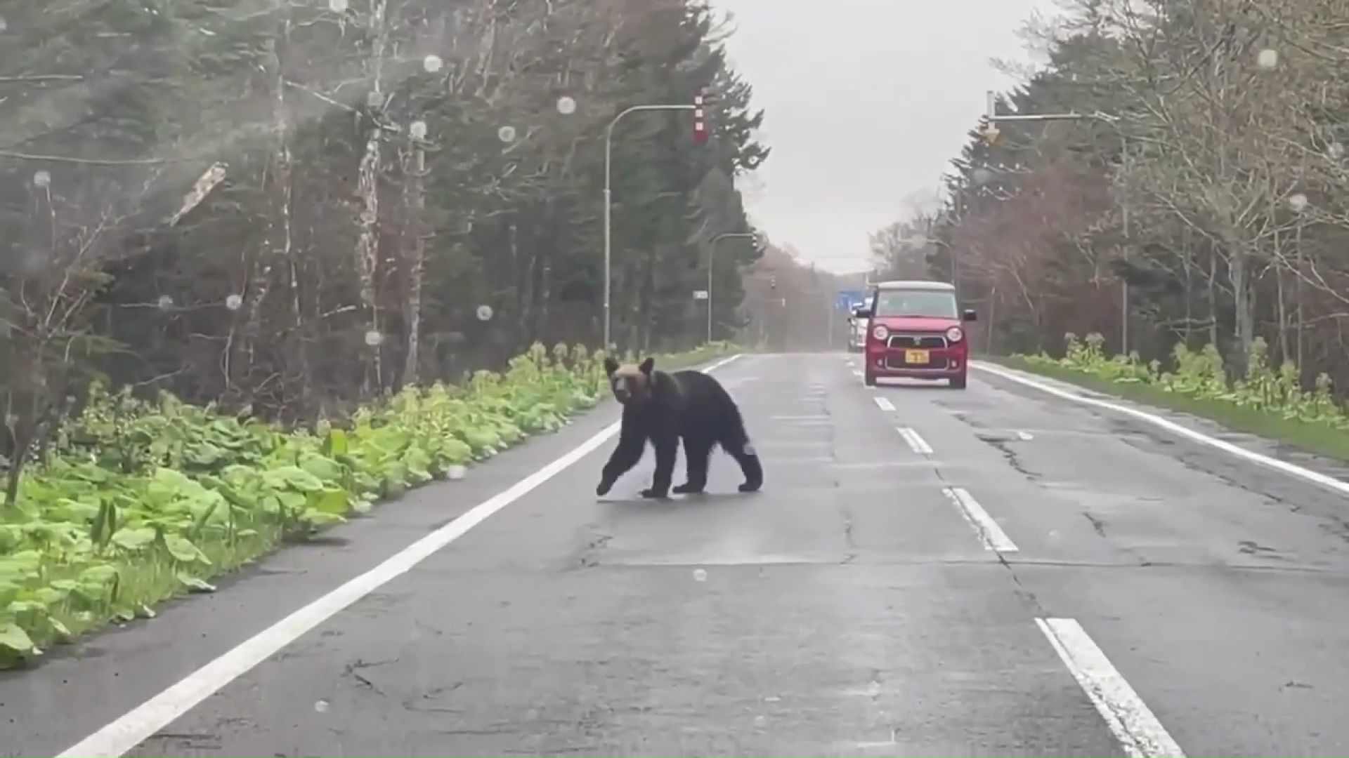 提供：トヨ兄ちゃんねる