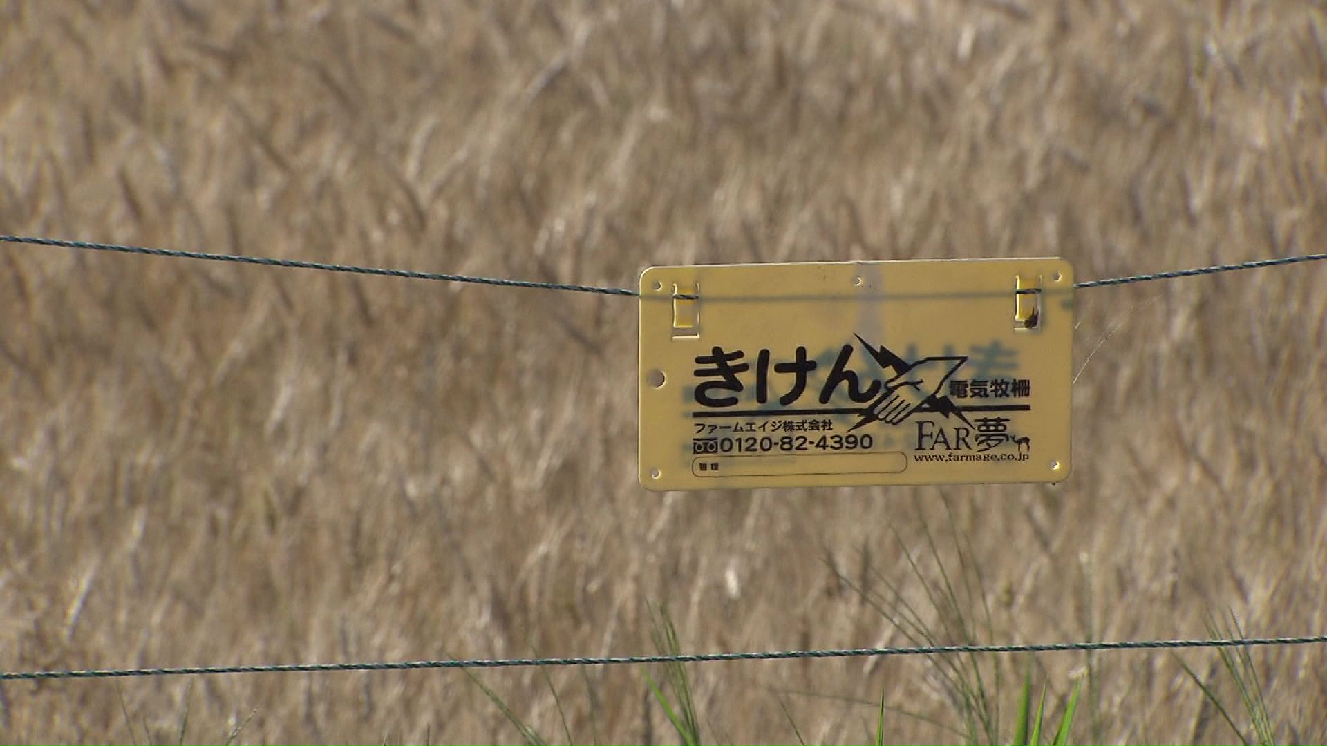 家庭菜園用の電気柵の貸し出しの受付が5月15日に始まる(資料画像)