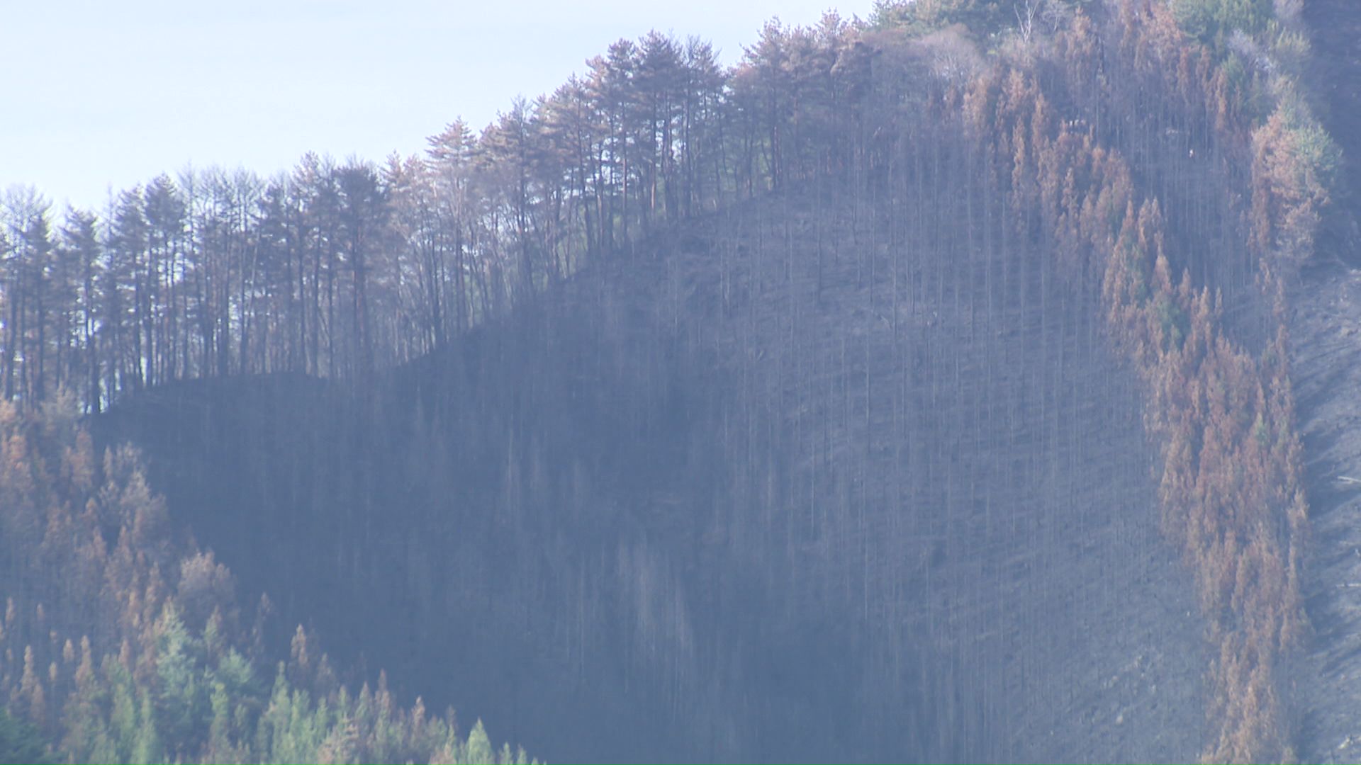 焼け焦げて黒く見える山肌
