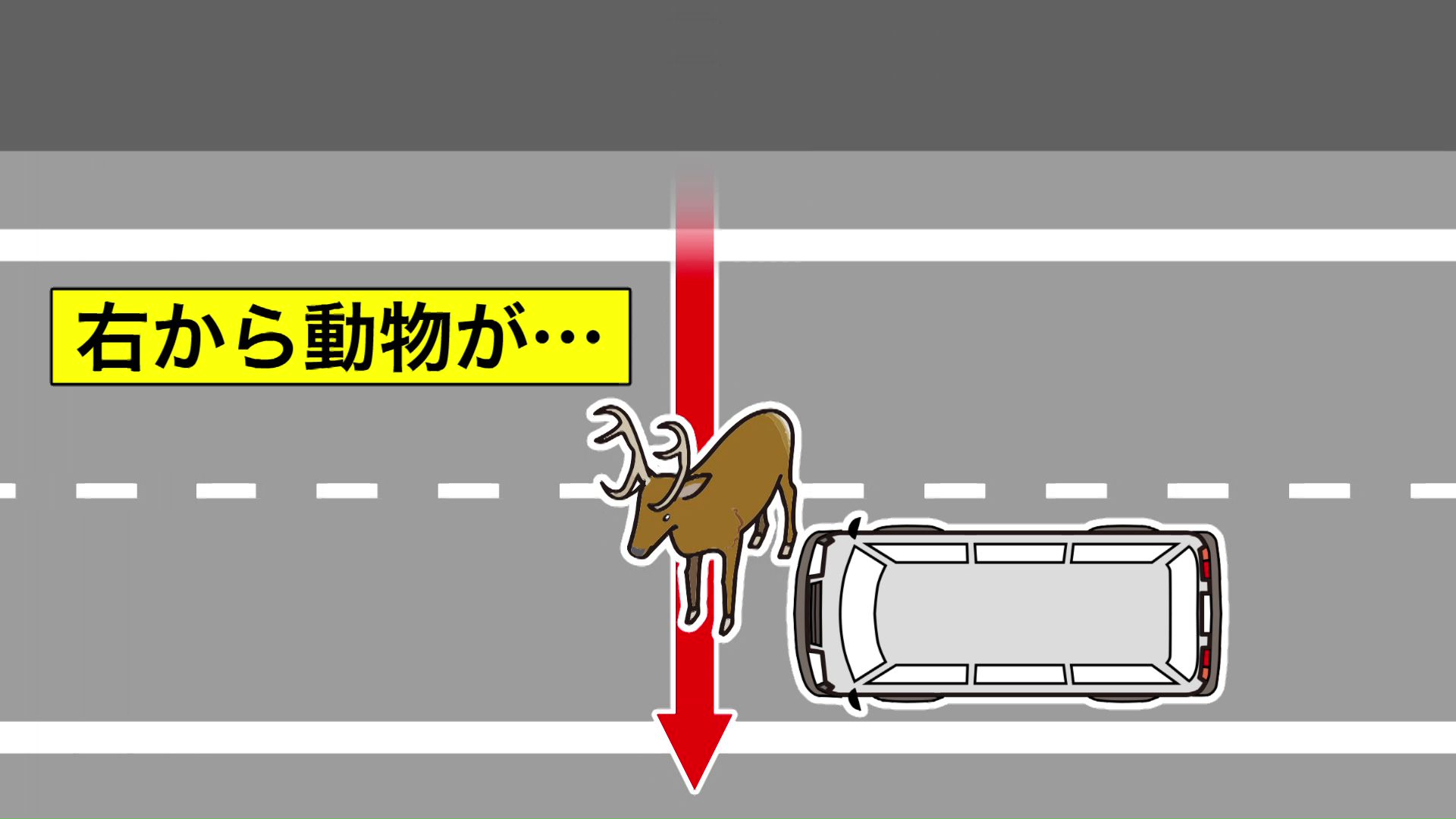 右から来た動物を避けようとハンドルを切り路外に逸脱