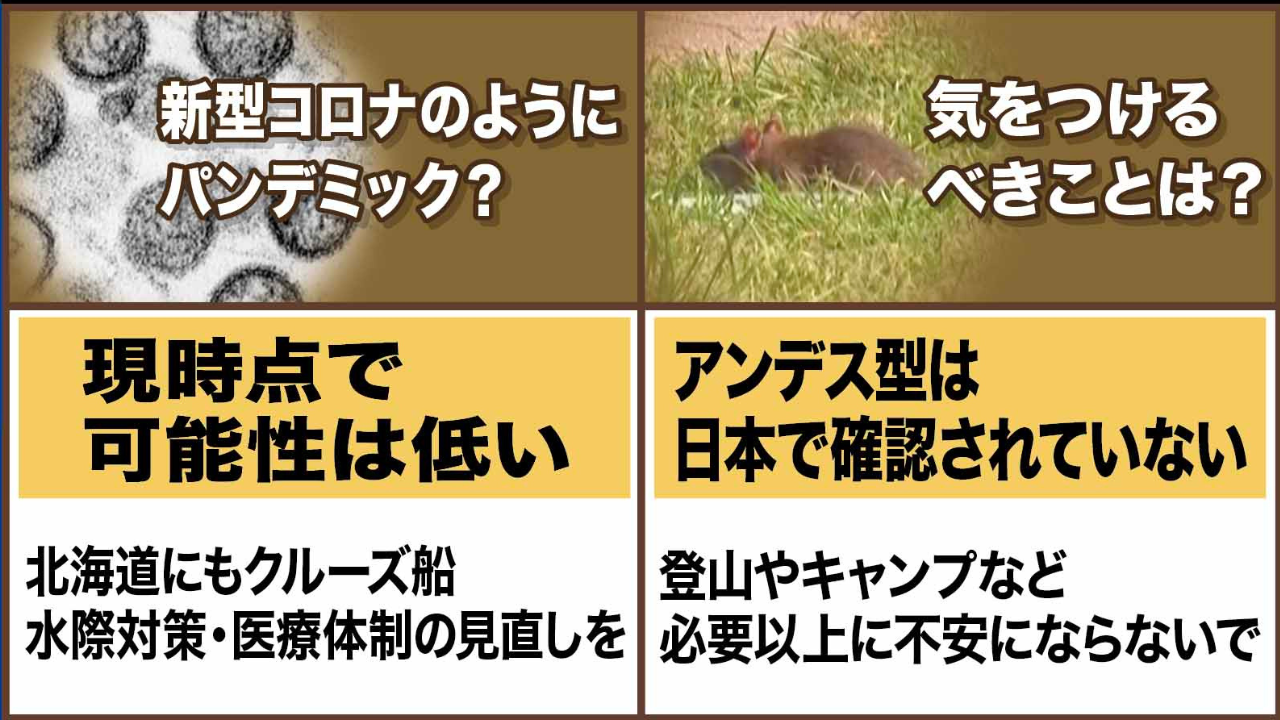 気をつけるべきことは？