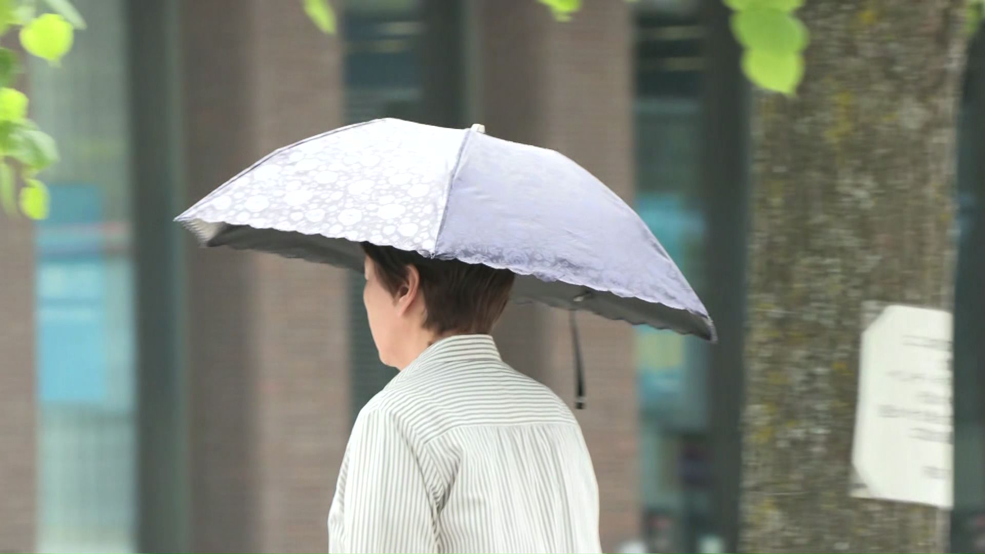 日傘をさす女性