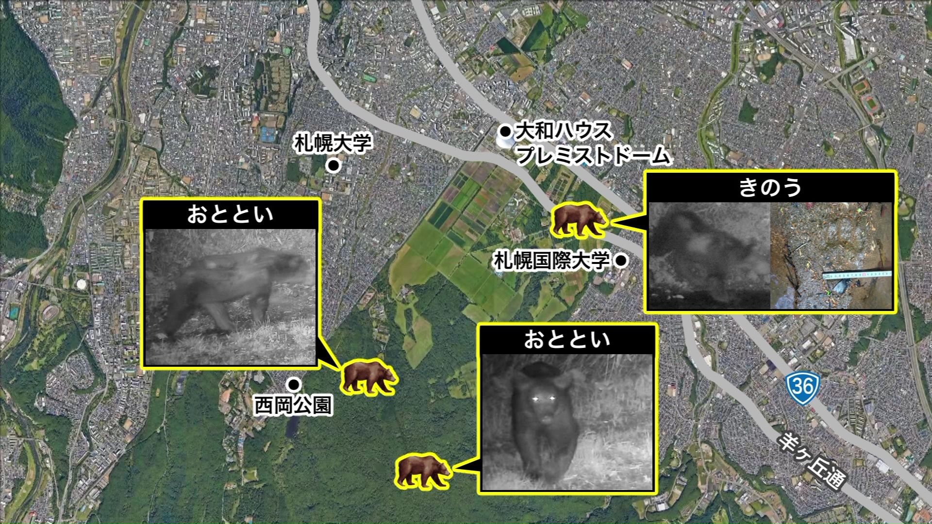 周辺での目撃情報