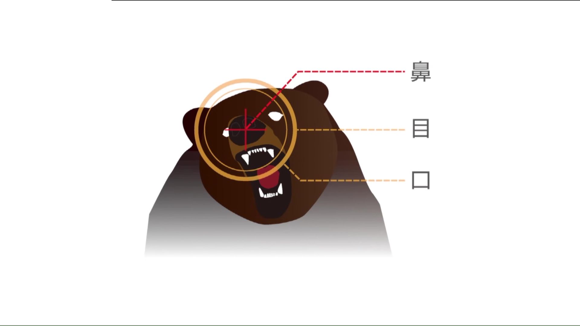 提供：mont-bell