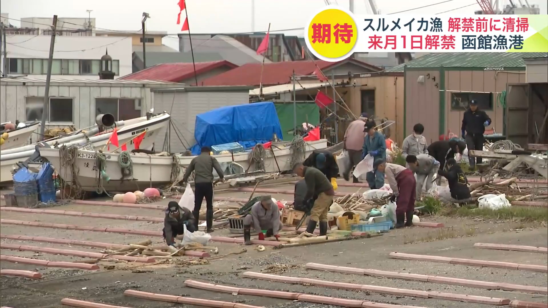 漁の解禁を前に港内を清掃