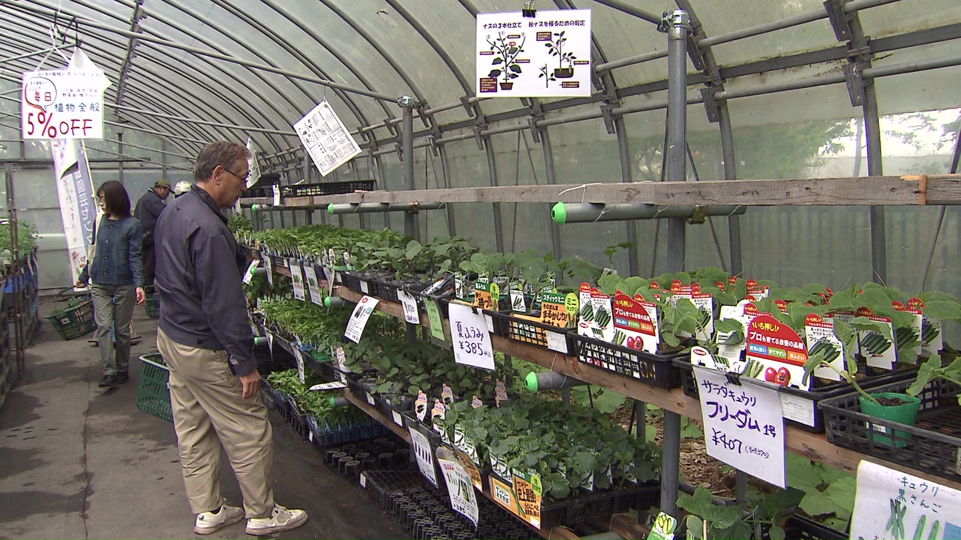 雪印種苗園芸センターに多くの人が野菜の苗を買い求める