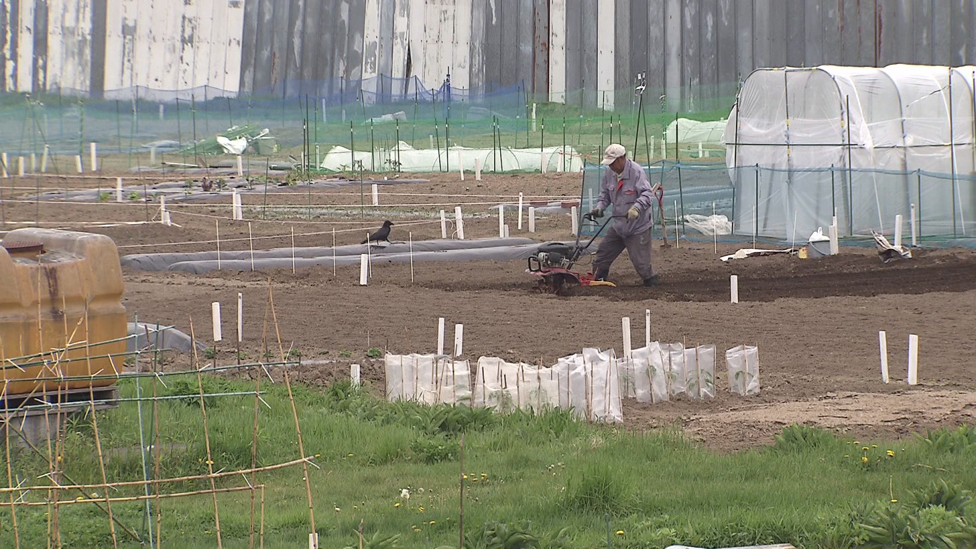 北広島市には貸し農園も
