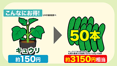 約3150円相当の収穫が可能に！