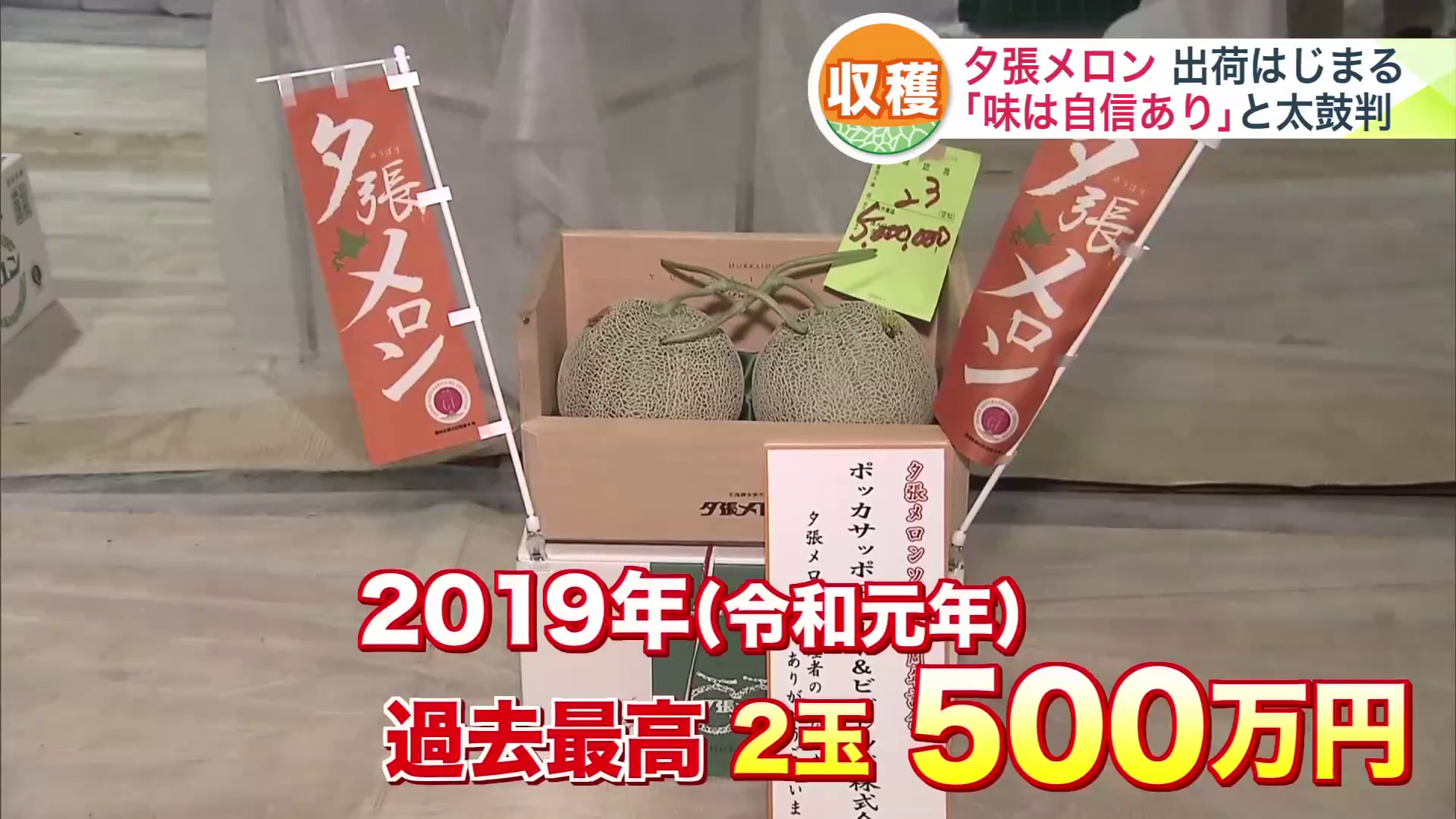 2019年には過去最高の500万円の値がついた
