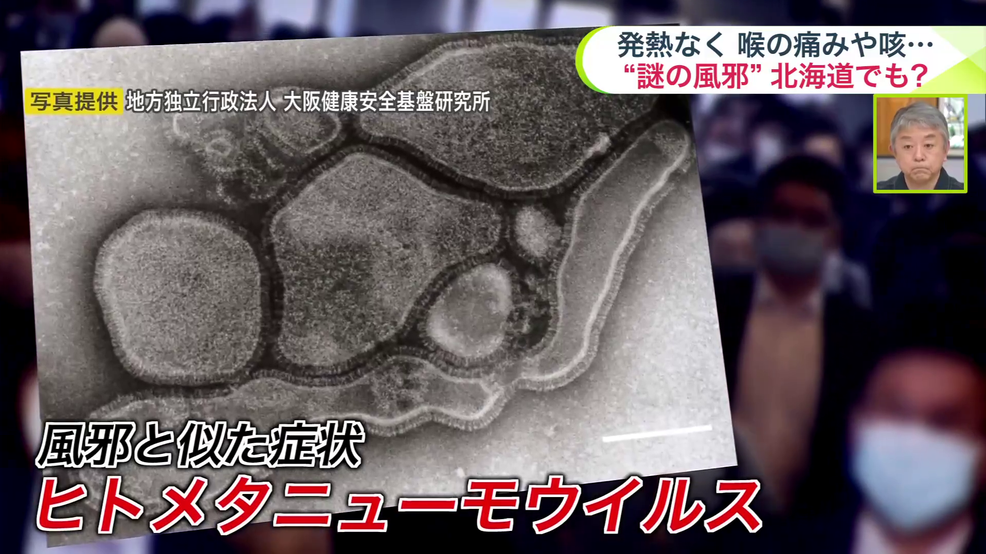 風邪のウイルスの一種「ヒトメタニューモウイルス」（提供：地方独立行政法人 大阪健康安全基盤研究所）