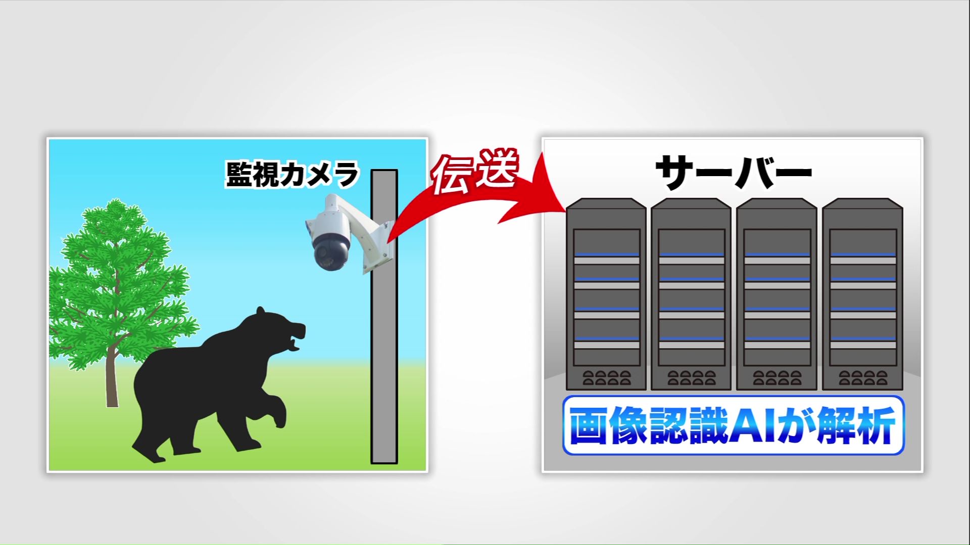 撮影された映像をAIが解析