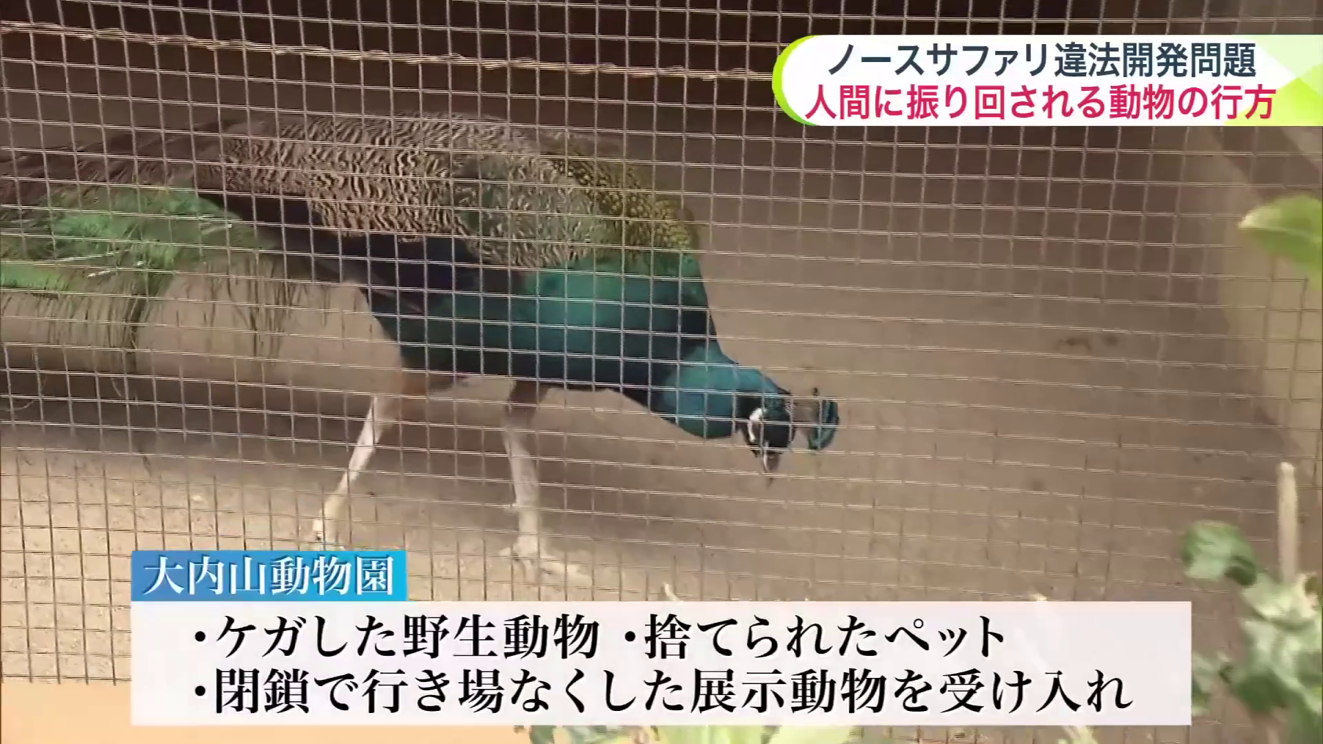 三重県大紀町にある民間動物園「大内山動物園」