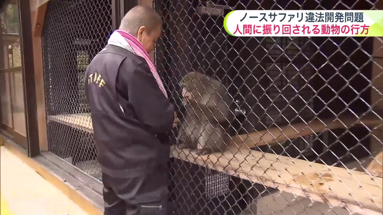 ニホンザルのジョージの世話をする山本清號園長