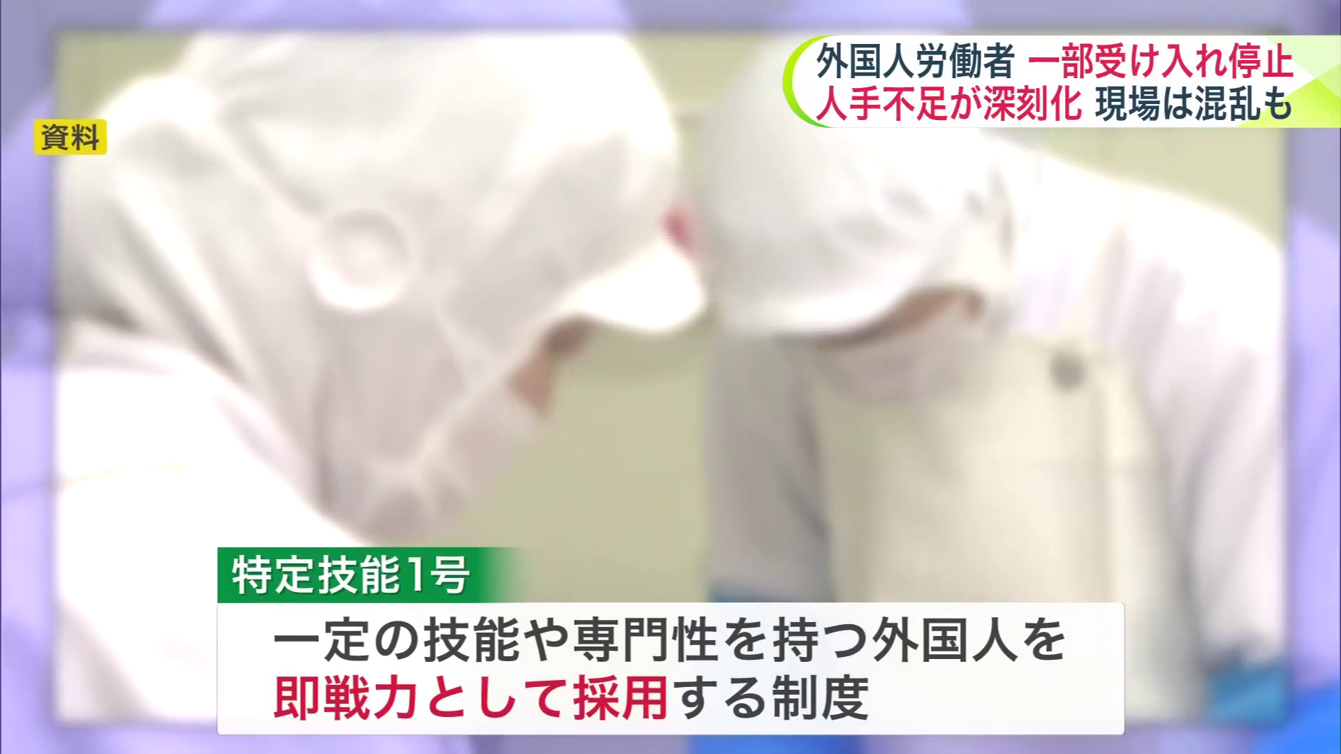 外国人の在留資格の一つ「特定技能1号」