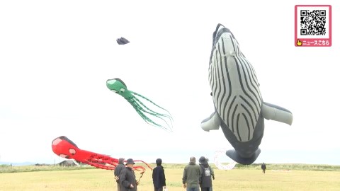 巨大なたこ揚げも開催