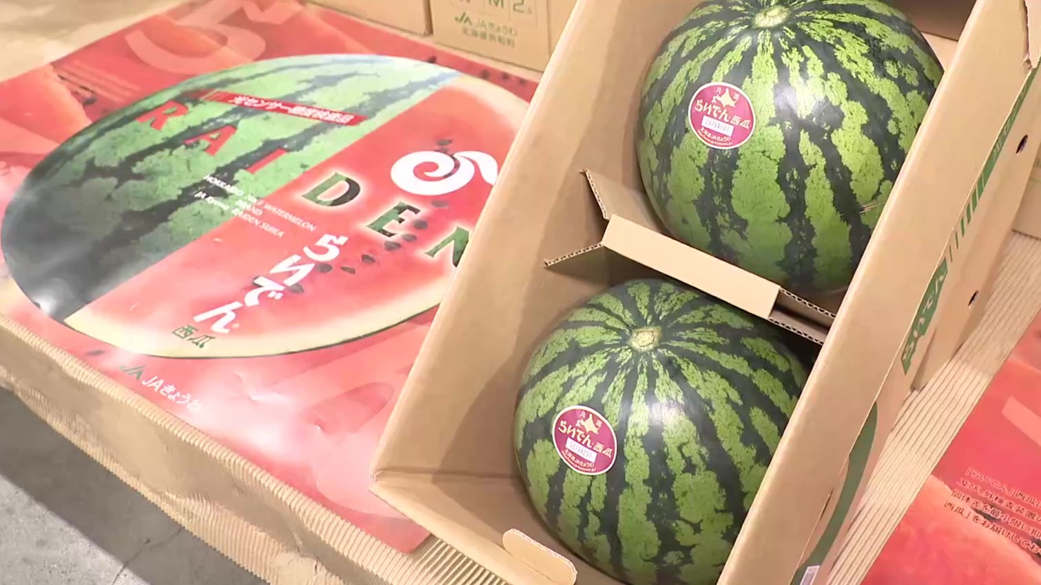 “過去最高値”の２玉40万円！共和町の特産品「らいでんスイカ」初競り…2年連続で福祉事業者が落札→児童養護施設へ寄付〈北海道〉