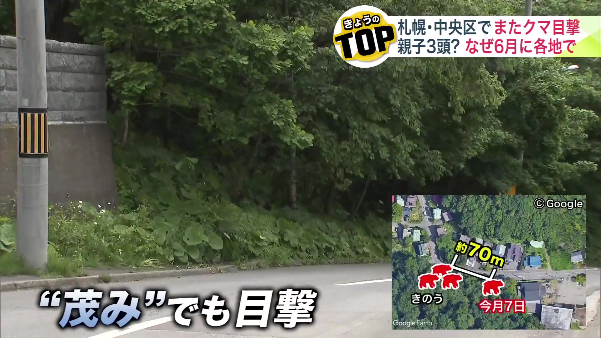 2日前にも約70メートル離れた場所で目撃