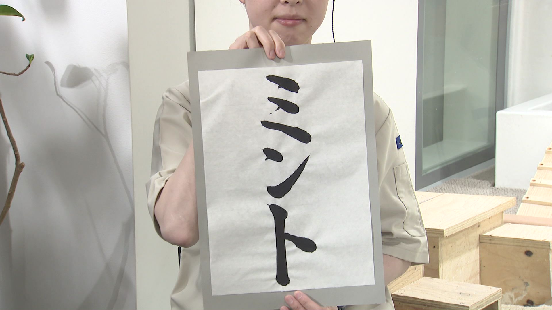 4000件以上の応募の中から選ばれた愛称「ミント」