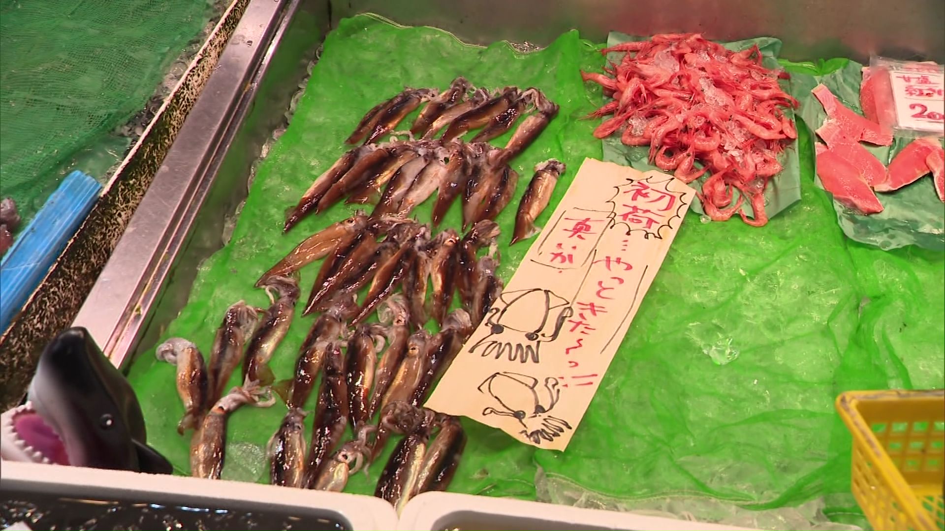 スルメイカを赤字覚悟の1匹500円で販売する鮮魚店も