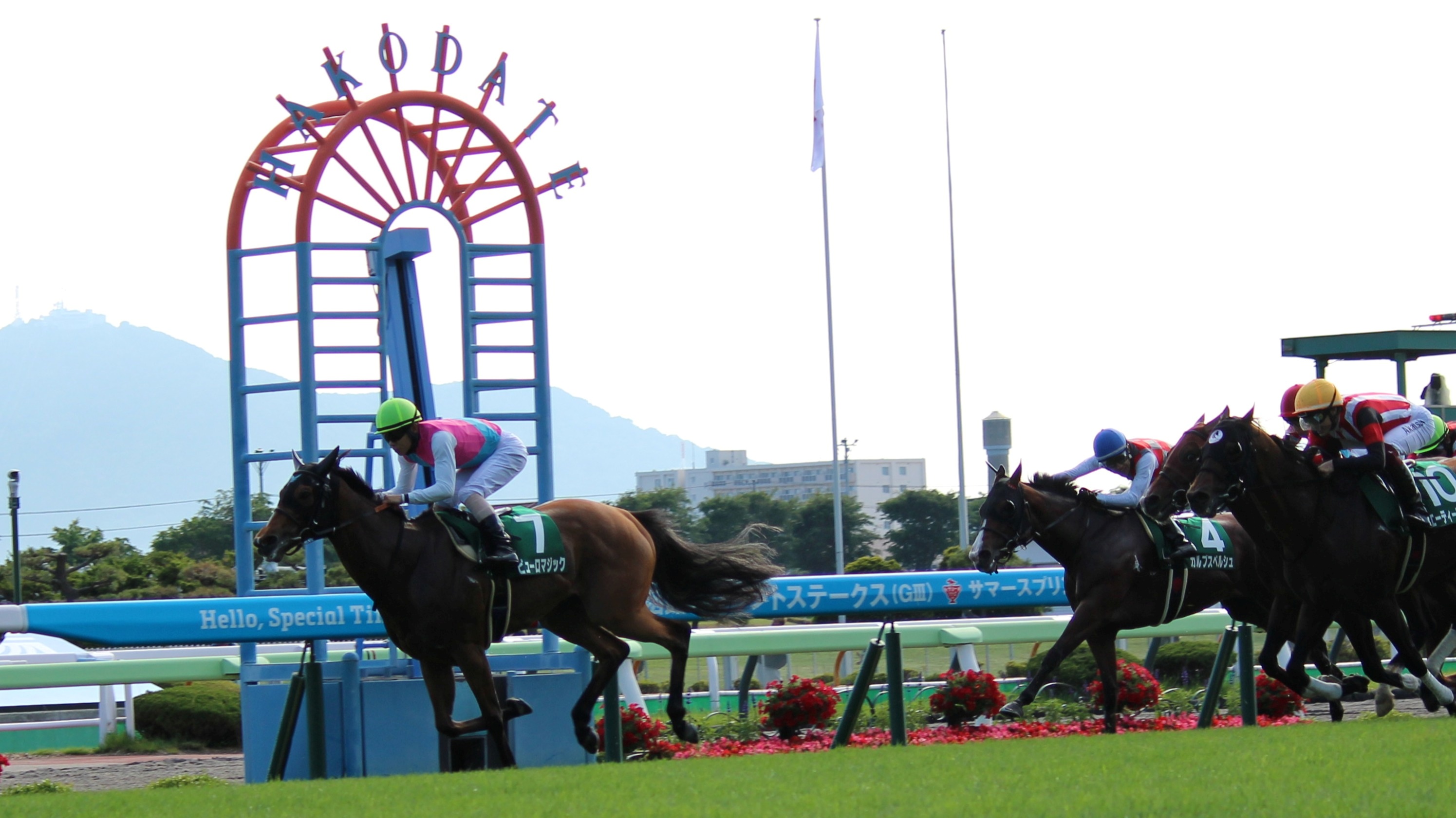 函館スプリントステークスを勝ったビューロマジック号