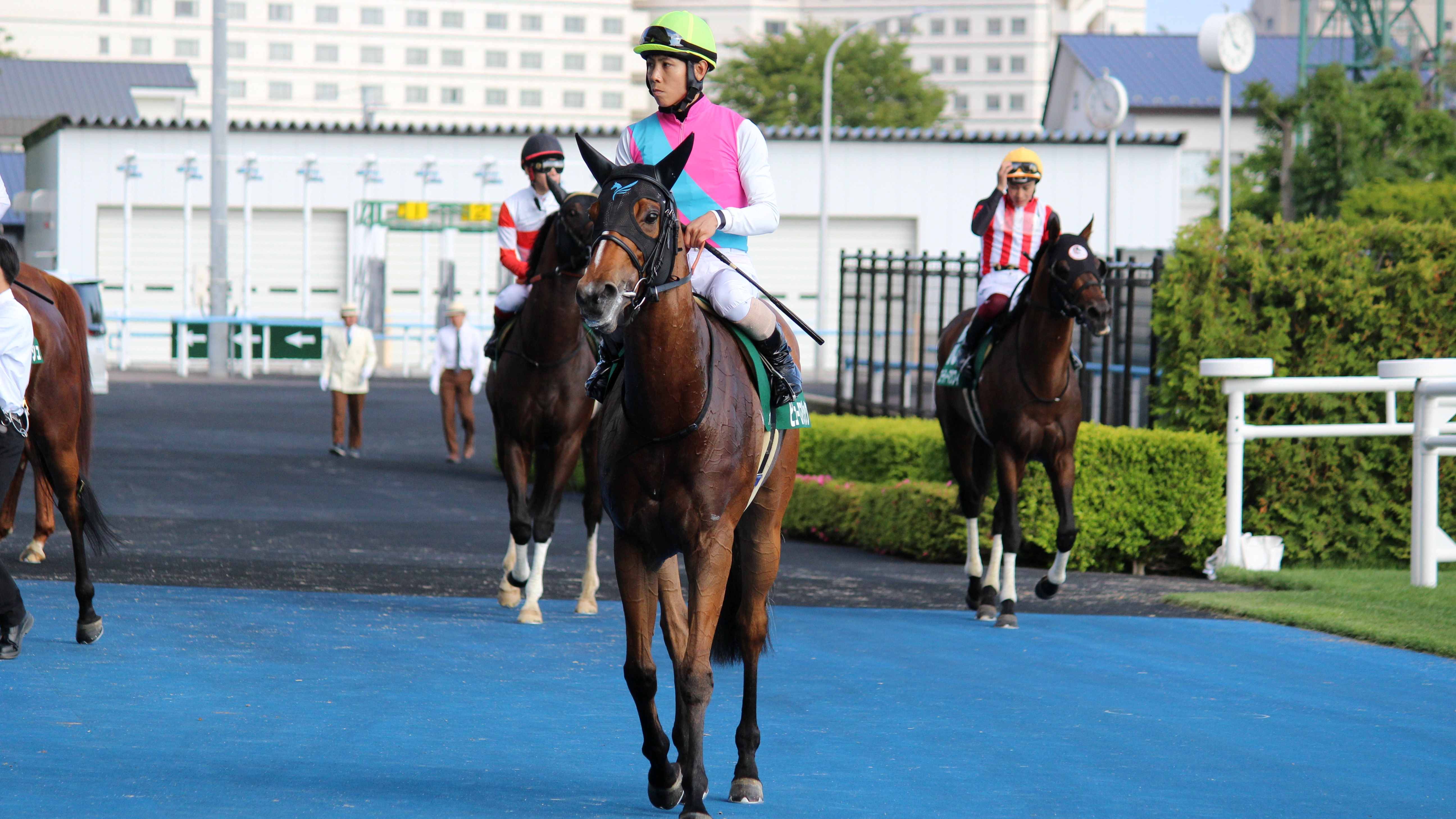 【競馬】函館競馬が開幕　函館スプリントステークスは北村友一騎乗のビューロマジックが優勝「トップスプリンターの素質がある」　宝塚記念に向け「馬の力を出し切れるように」