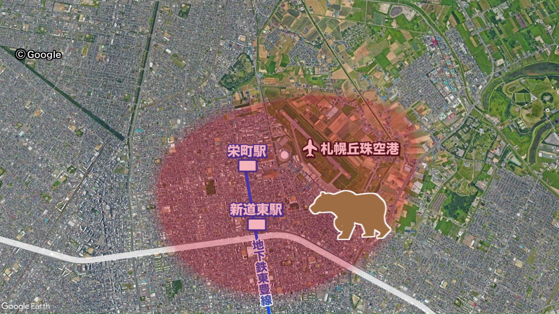 クマは市街地に現れ、8時間にわたり移動を続けた