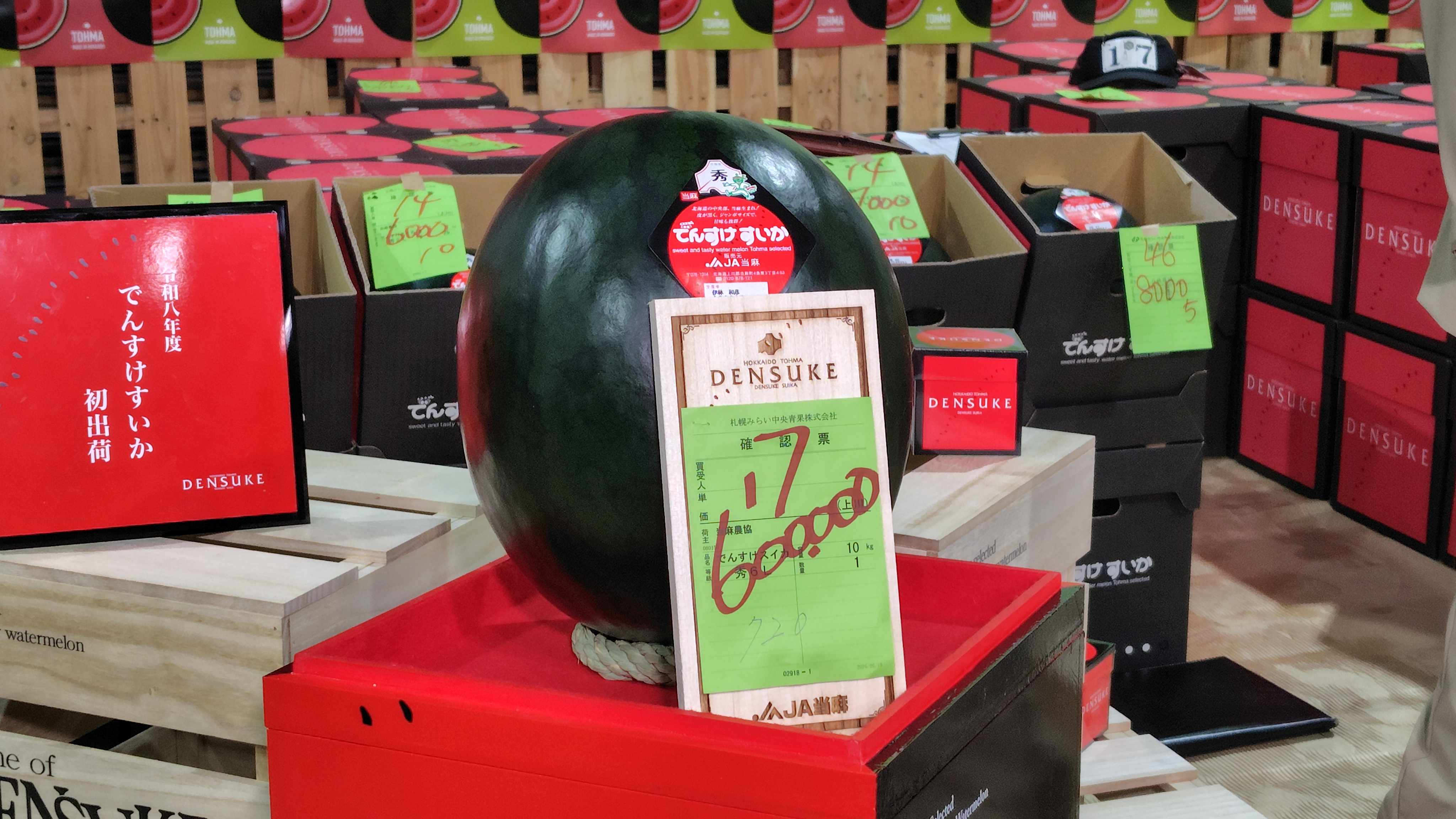 1玉60万円の値がついた「でんすけすいか」（札幌市中央卸売市場）