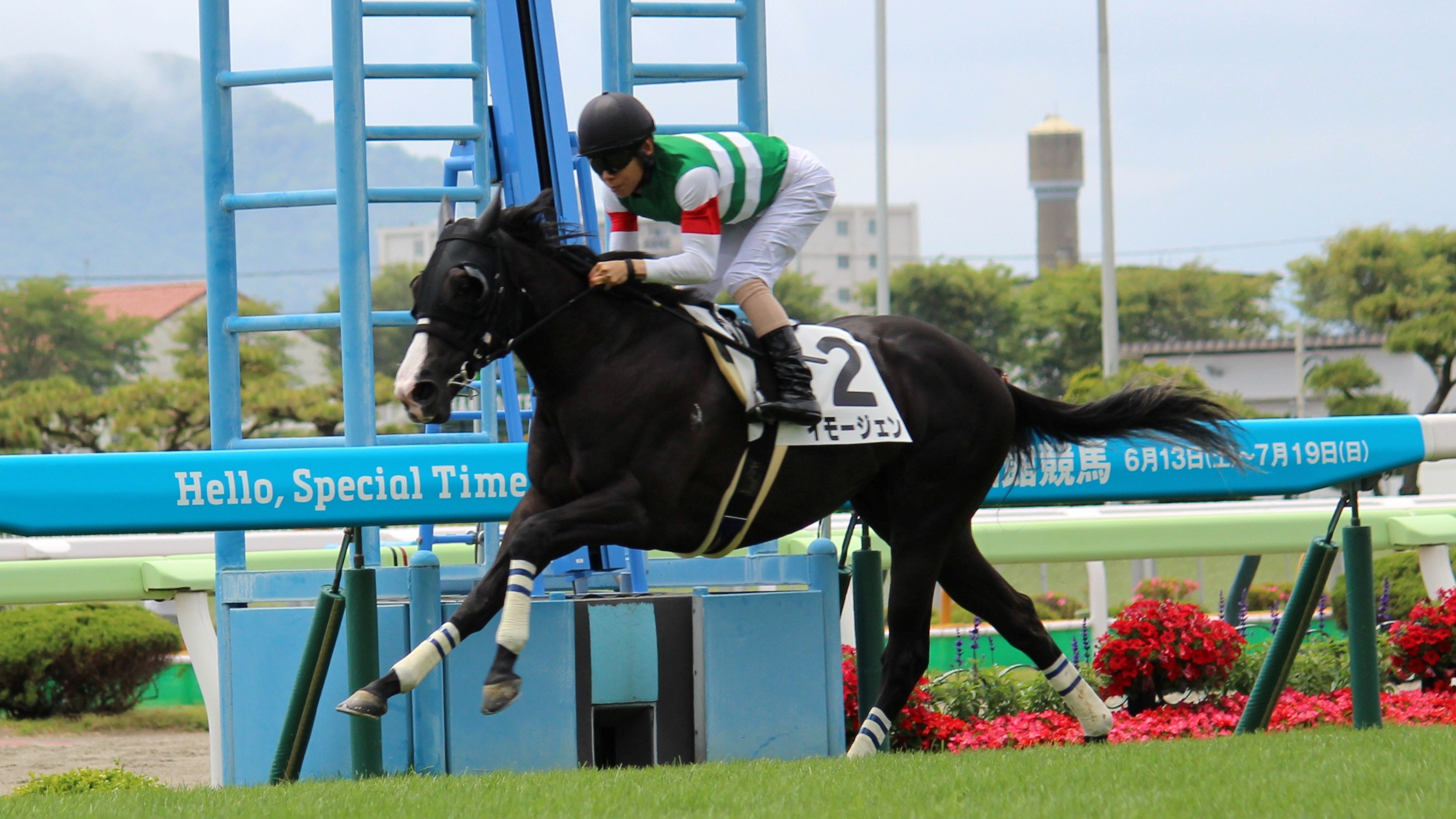 【函館競馬】祖母にシーザリオ、新種牡馬サリオス産駒イモージェンがメイクデビュー函館V　北村友一騎手「ゴール板過ぎてからも余力あった」　ソダシの妹スノーウィスパーは6着