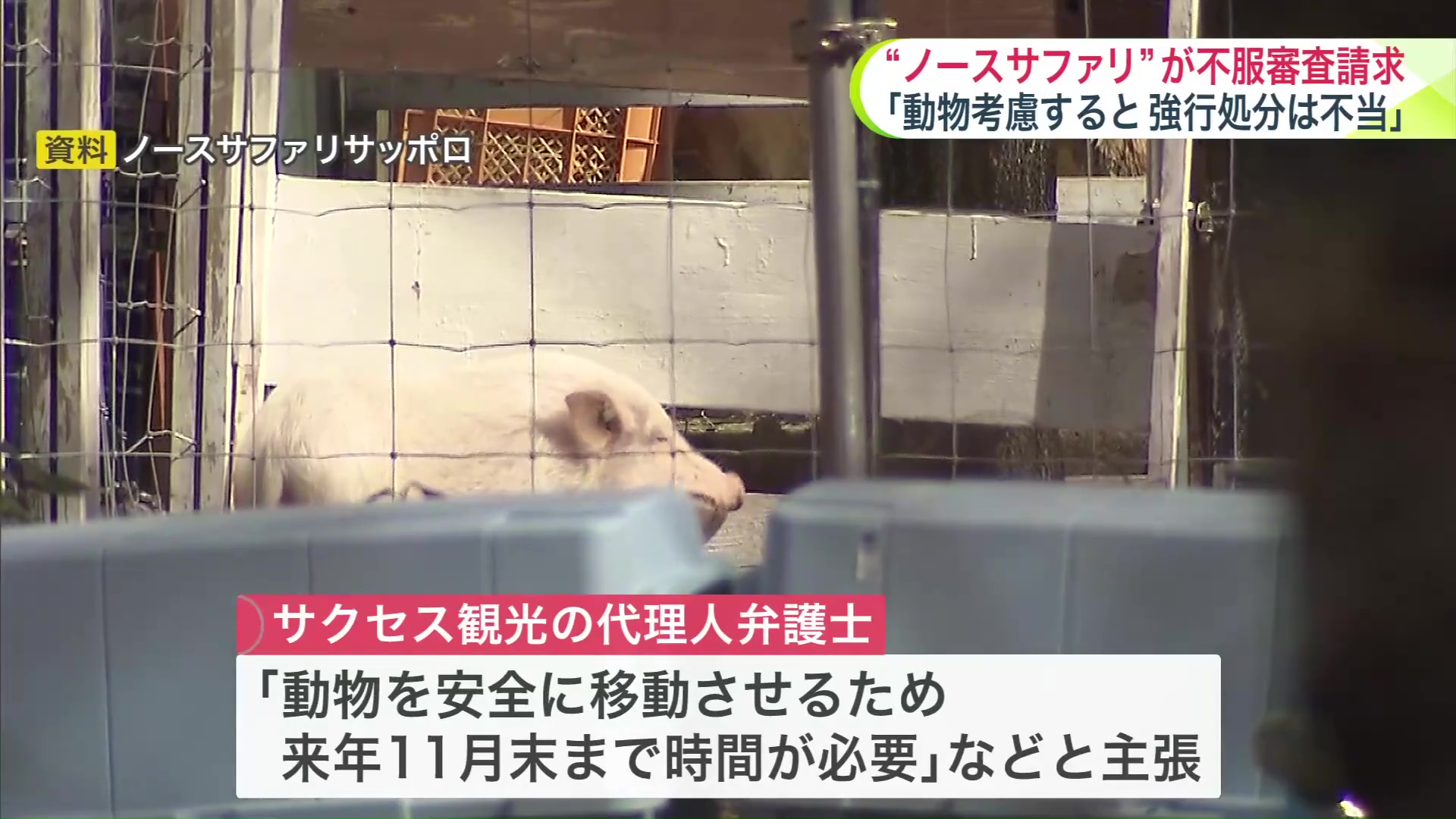 サクセス観光は不服審査請求を行う