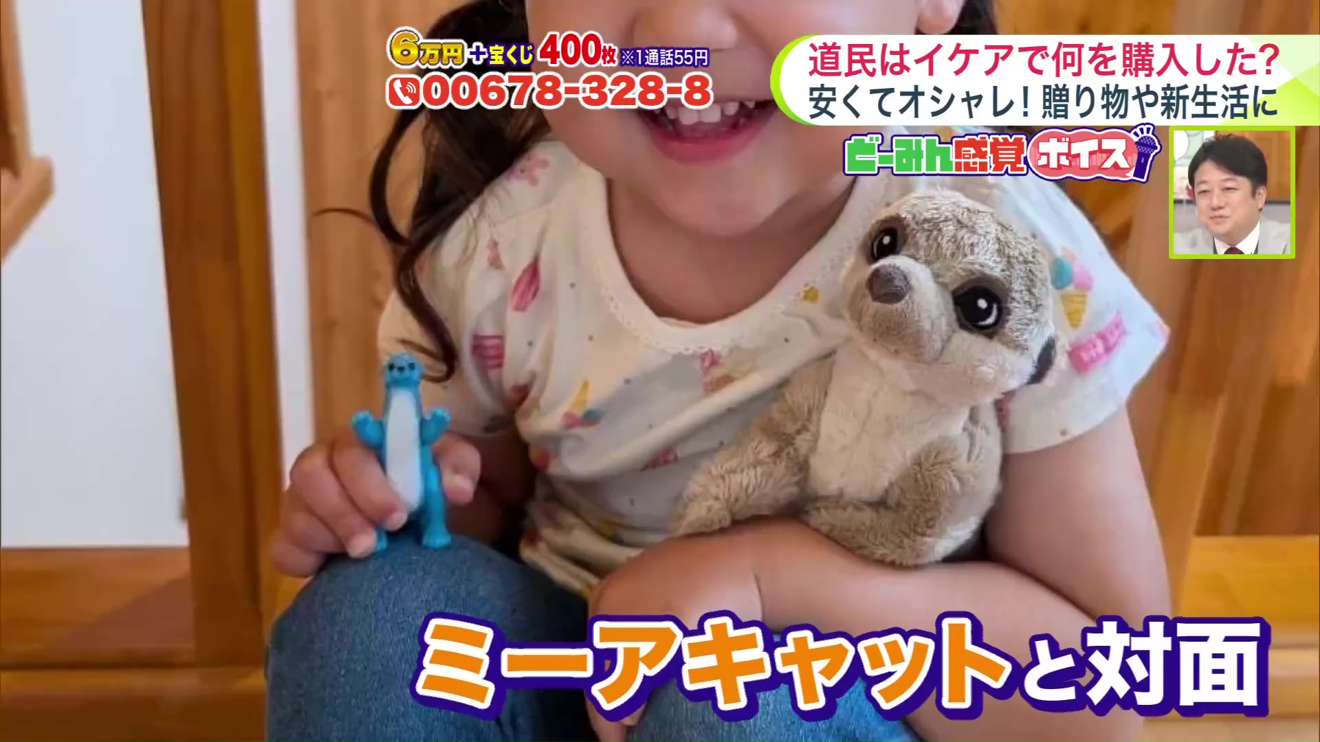 娘さんがミーアキャットとご対面!