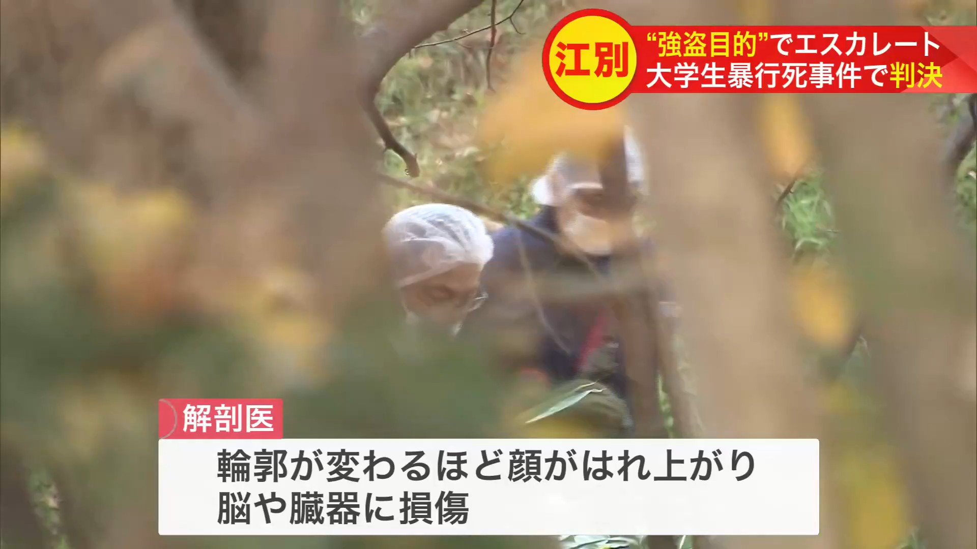 被害者は顔の輪郭が変わるほど腫れあがり、脳や増魏に大きな損傷を受けた