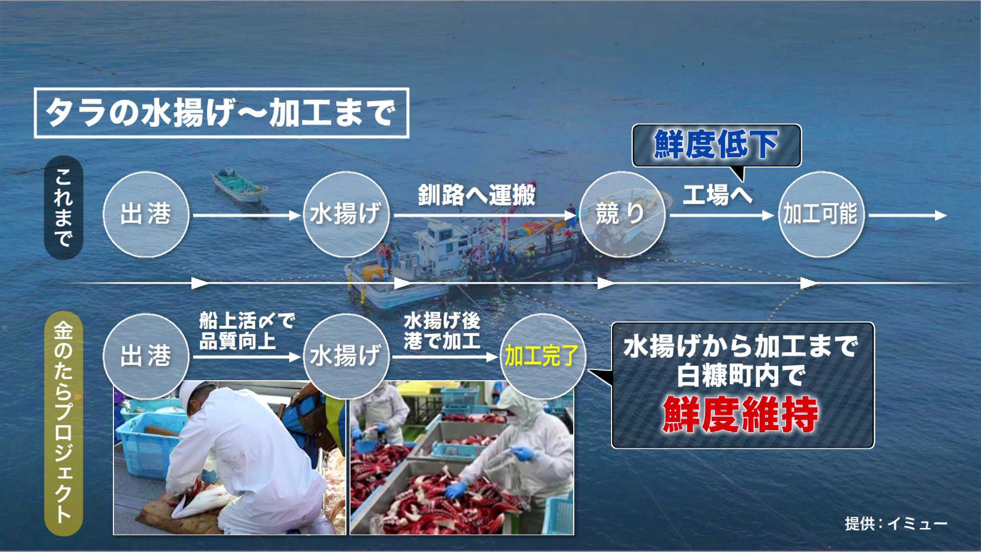 これまでのタラの水揚げから加工までと「金のたらプロジェクト」の比較（提供：イミュ―）
