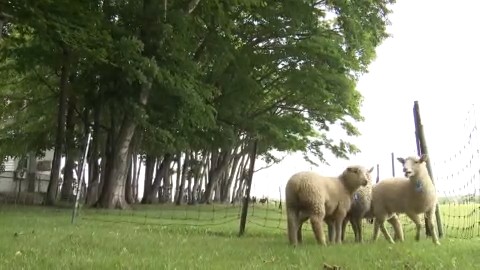 まずは