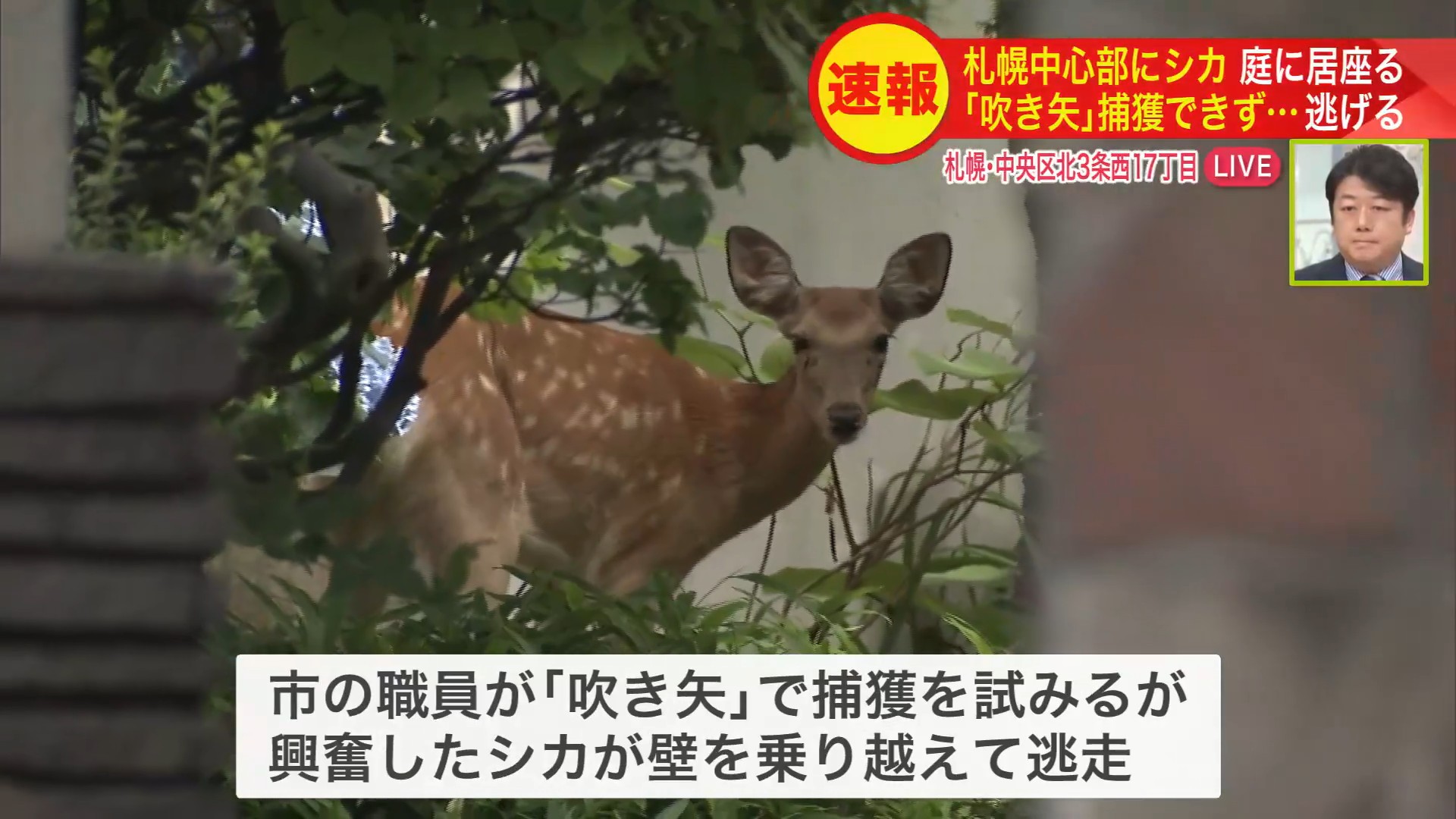 周辺を走行する車に注意を呼びかけ