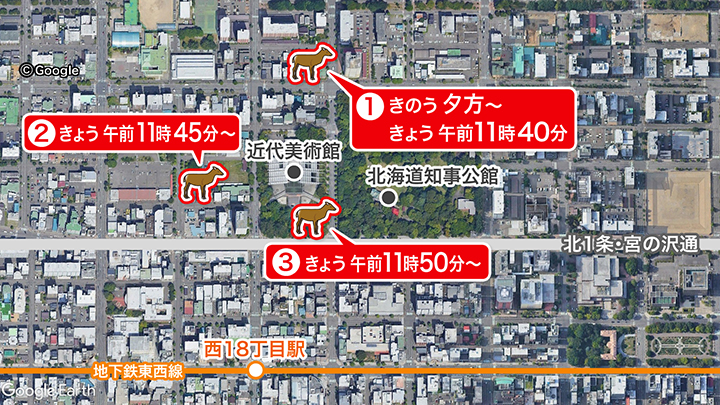 シカが目撃された場所