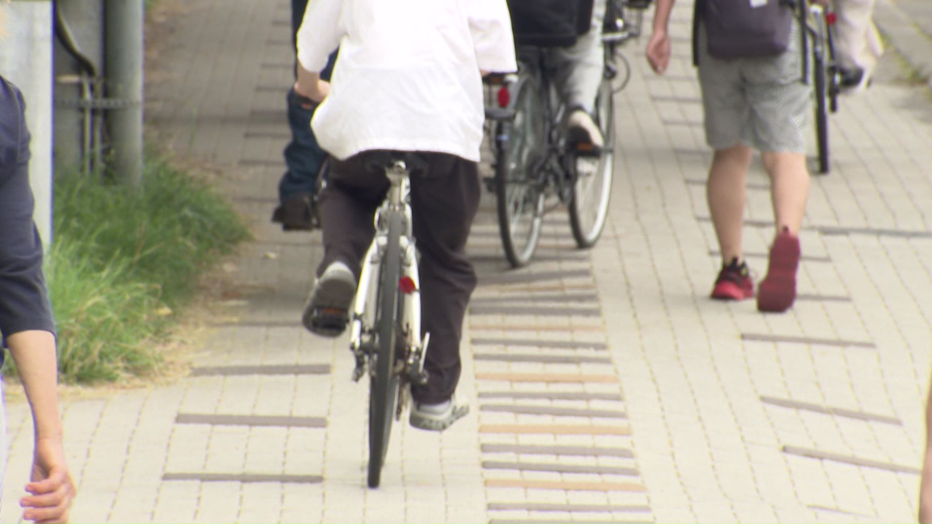 自転車の信号無視やスマホ操作で運転など交通違反が相次ぐ(札幌市北区)