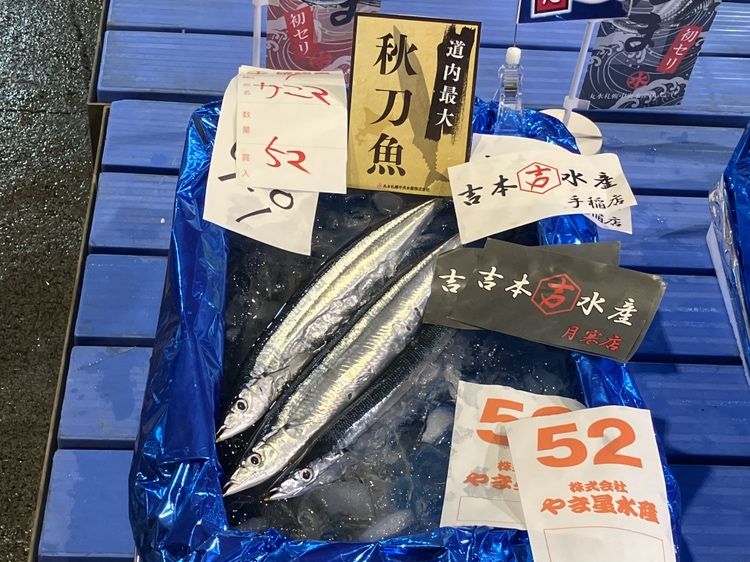 札幌で1キロあたり111万2000円の高値で落札されたサンマ