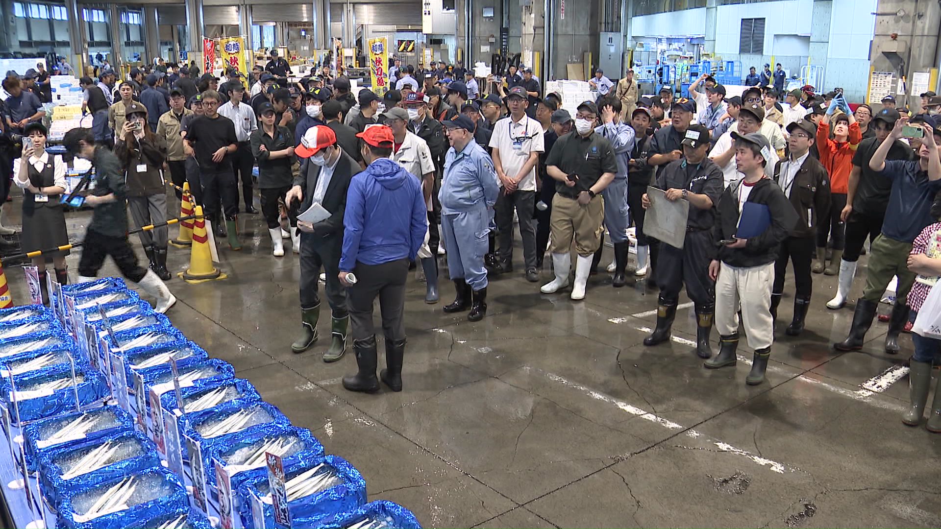 札幌市中央卸売市場(7月10日午前5時半過ぎ)
