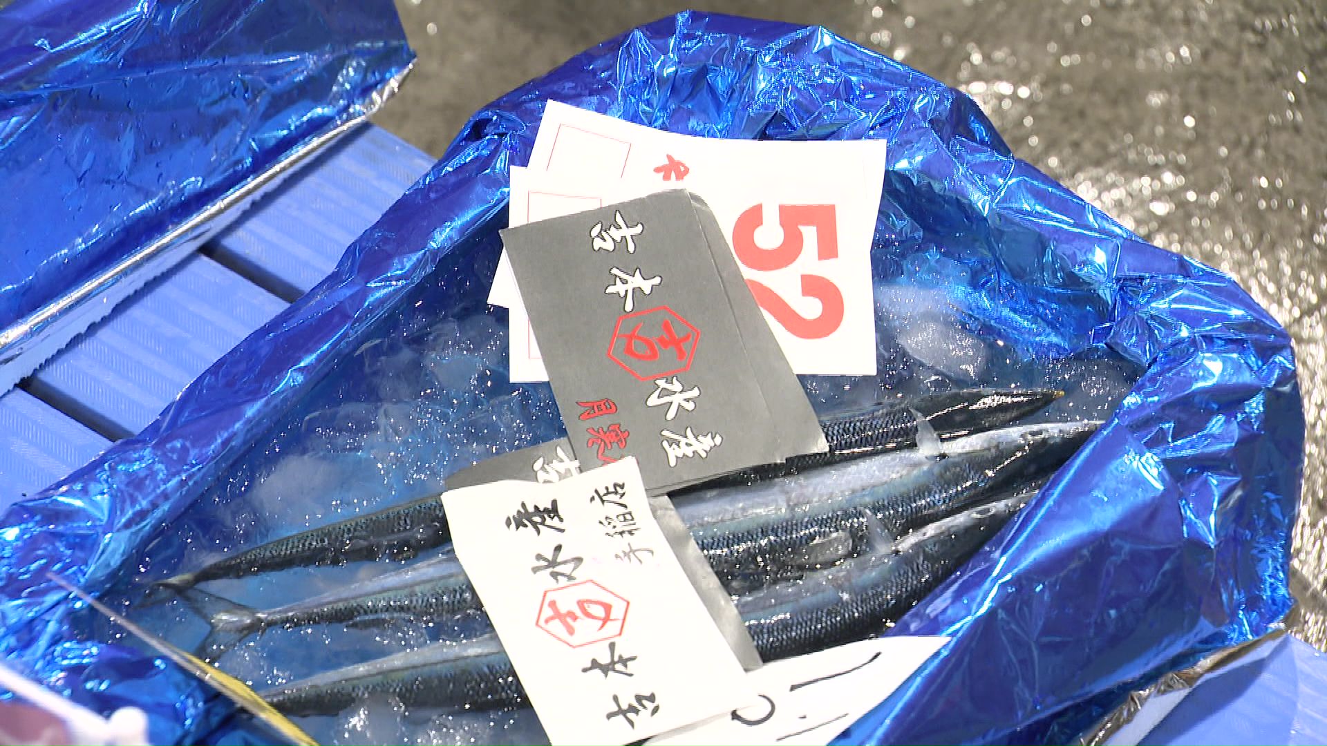 「サンマ6匹で111万2000円」驚きの価格に