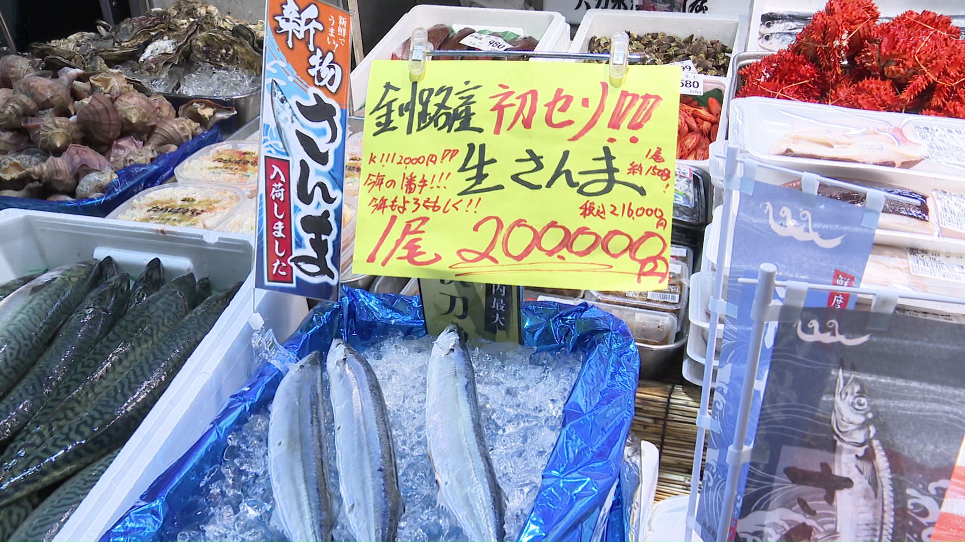 スーパーに並べられた1匹20万円のサンマ