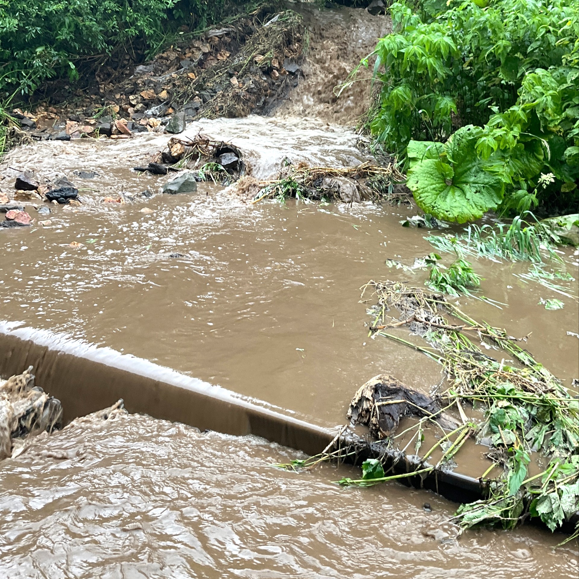 冠水・土砂が流入した石北線の線路（JR北海道提供）