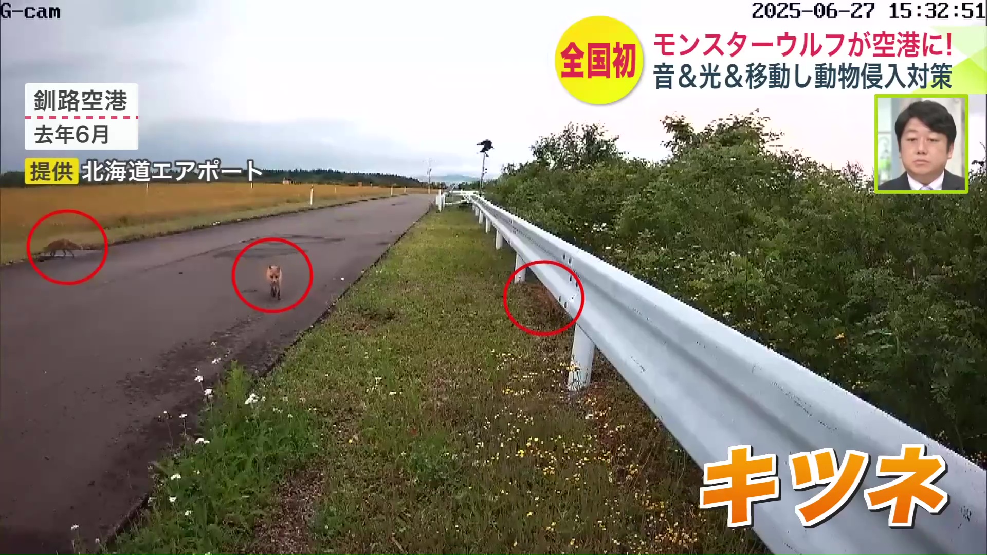 キツネやウサギなど小動物の侵入が多い