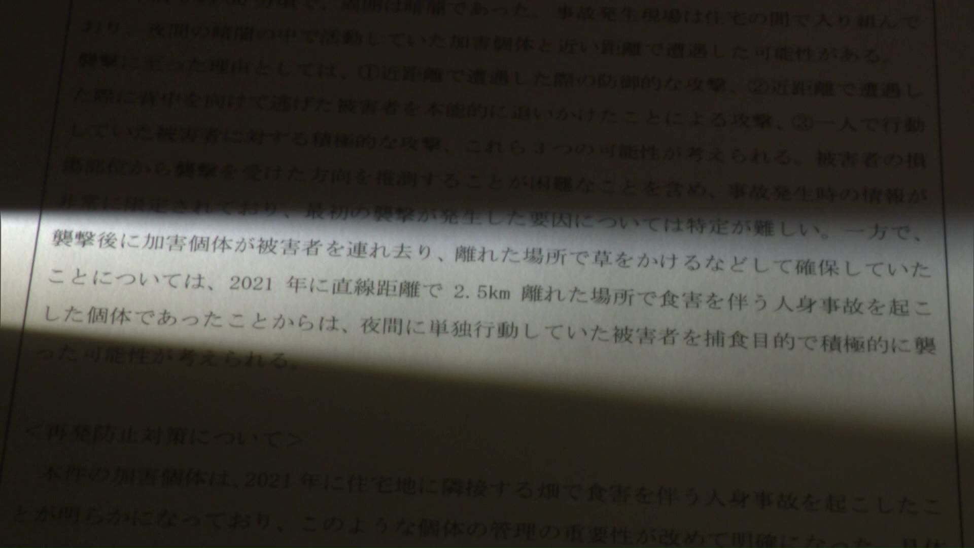 道の資料
