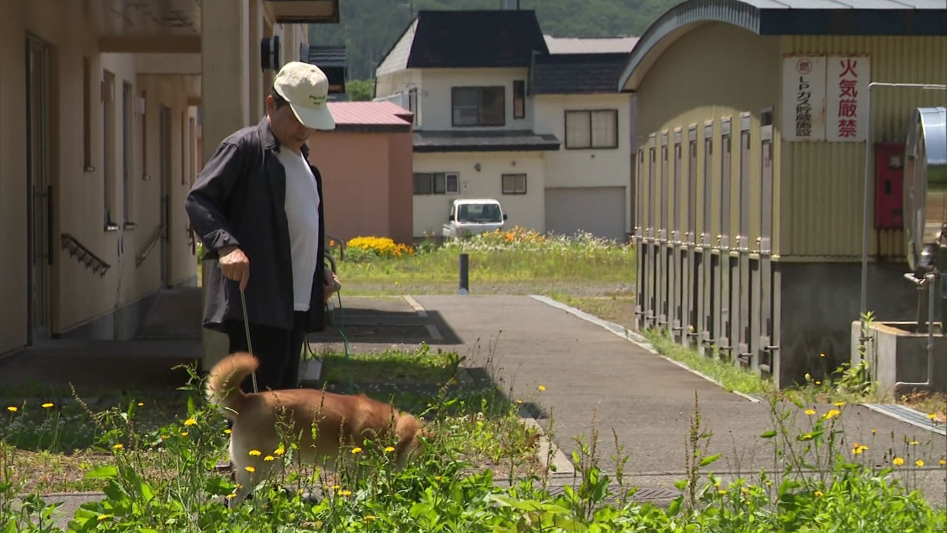 クマに襲われないよう犬を家の中で飼っている