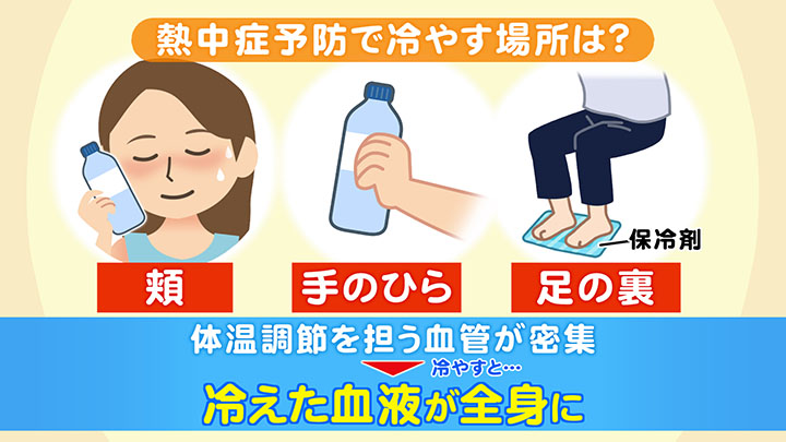 冷やすべきポイントは「頬」「手のひら」「足の裏」の3か所