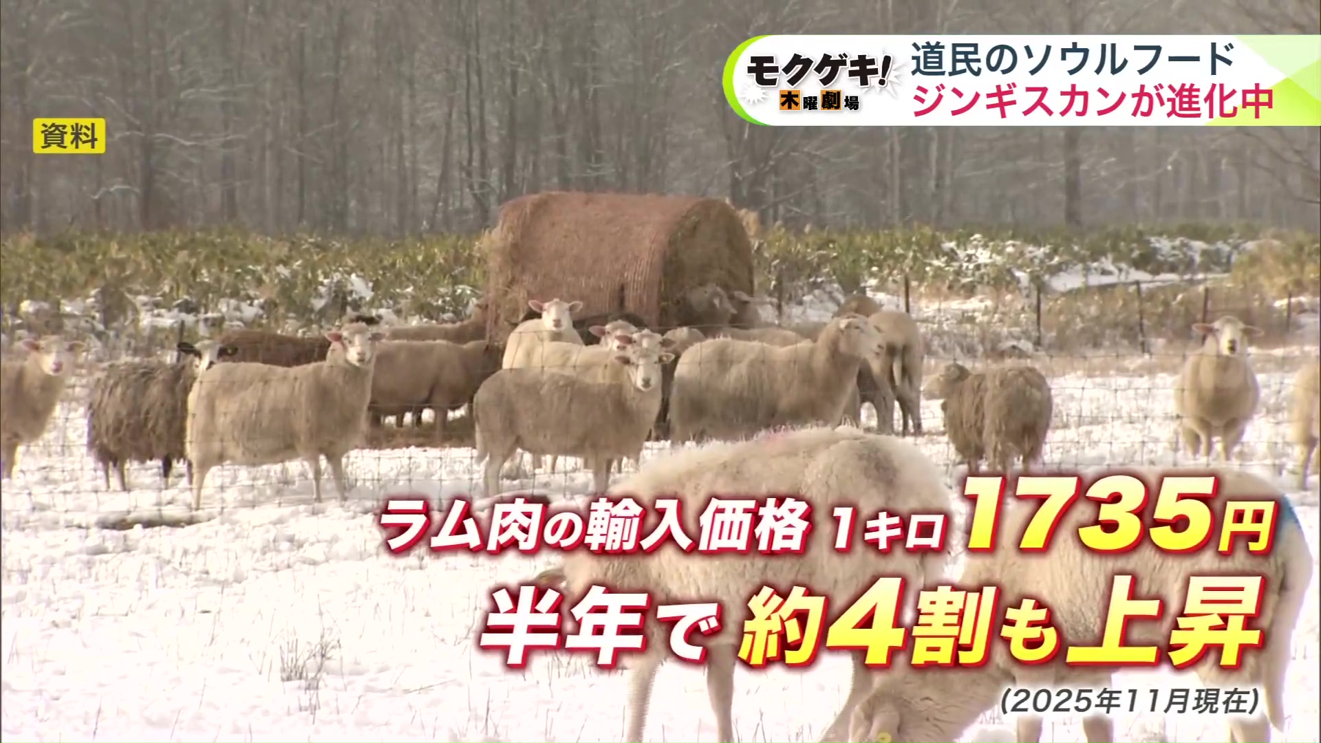 ラム肉の輸入価格は半年で約4割も上昇
