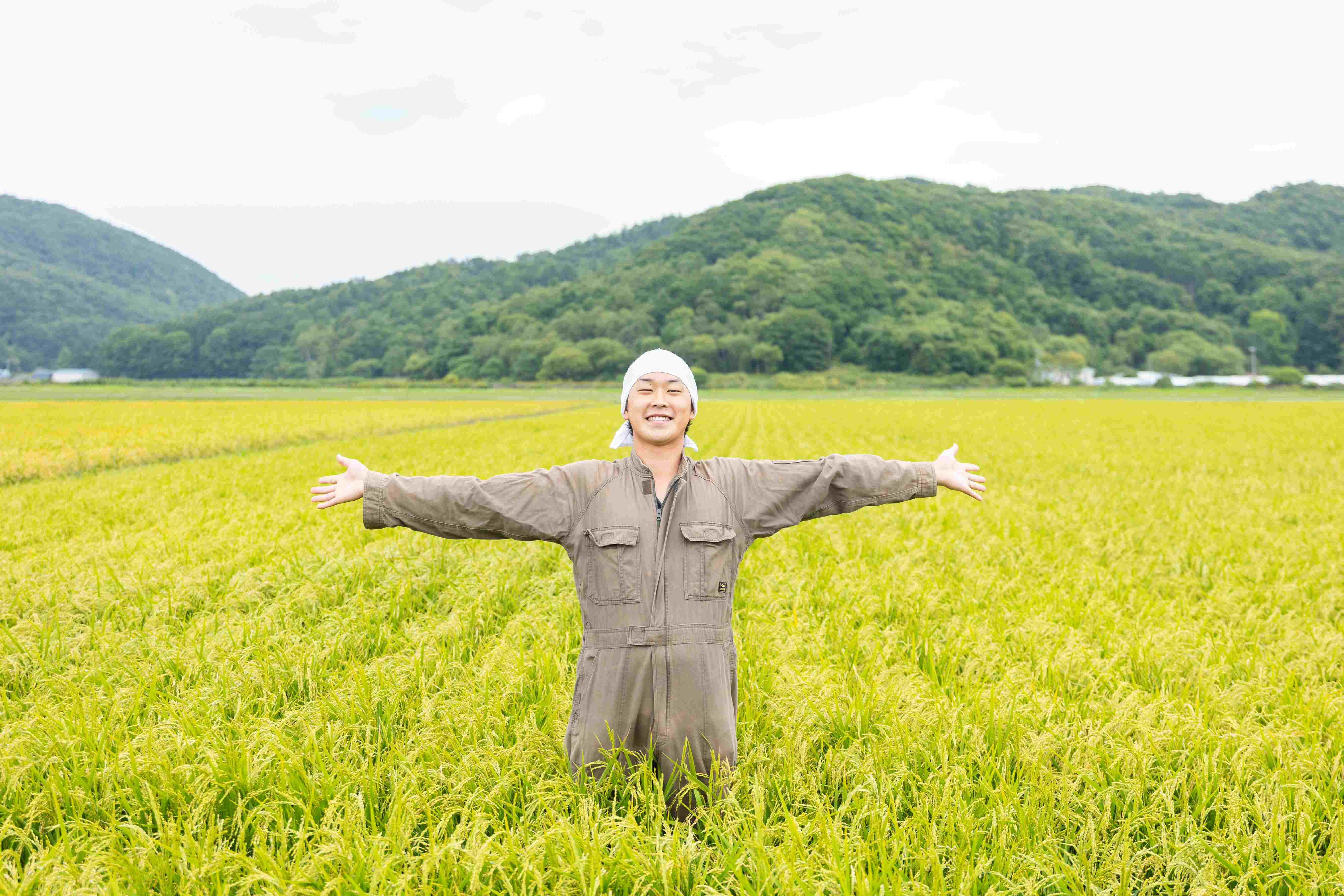 家業は養豚のほかに米も育てている