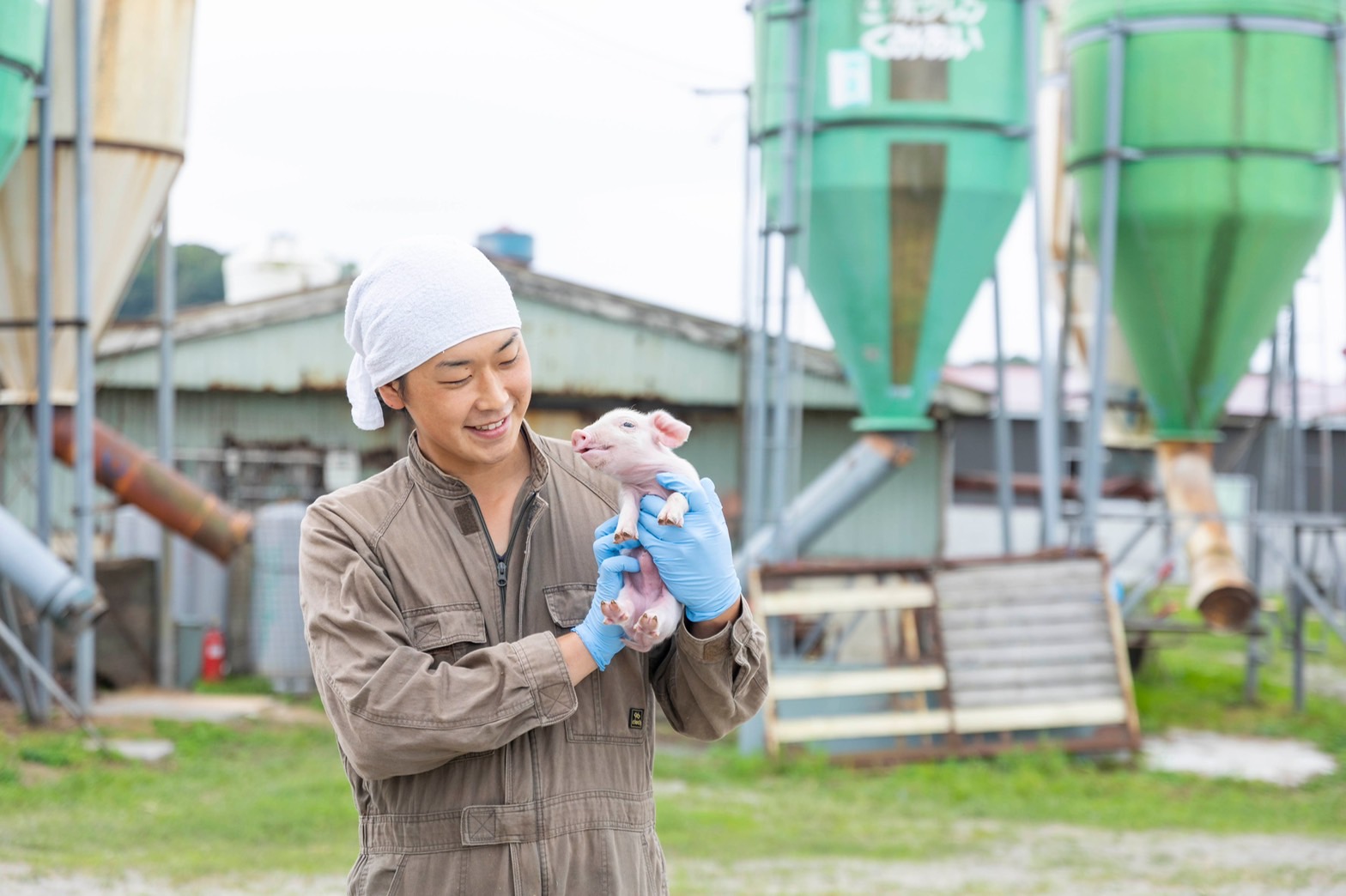 2025年 新ひだか町で「猪野毛ファーム」設立