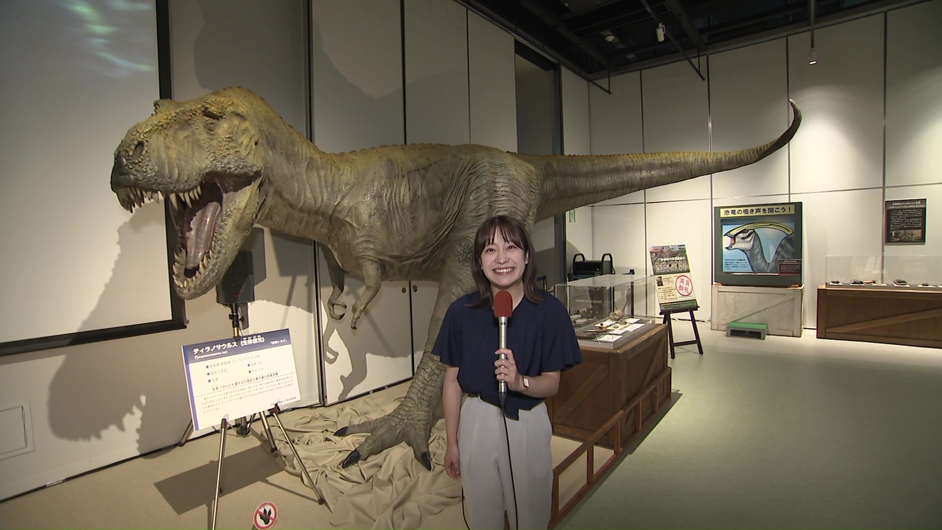 ティラノサウルス展が開催
