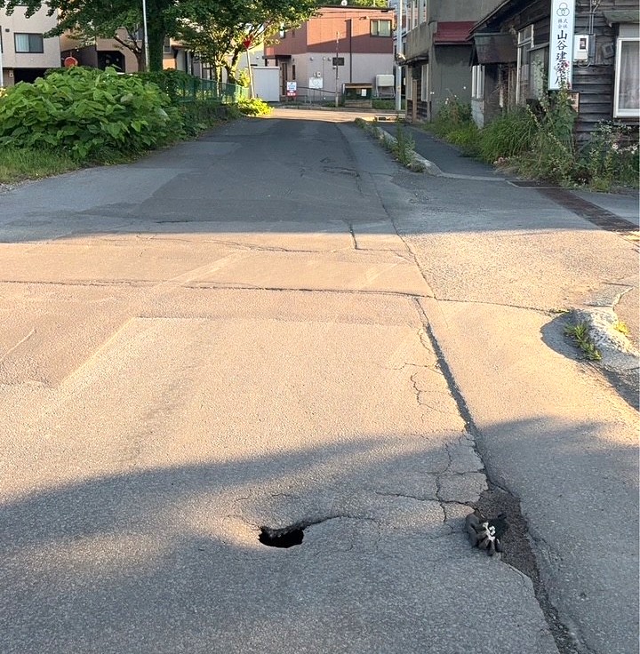 直径15~20センチの穴の下には空洞も見つかった(提供:小樽市建設部)